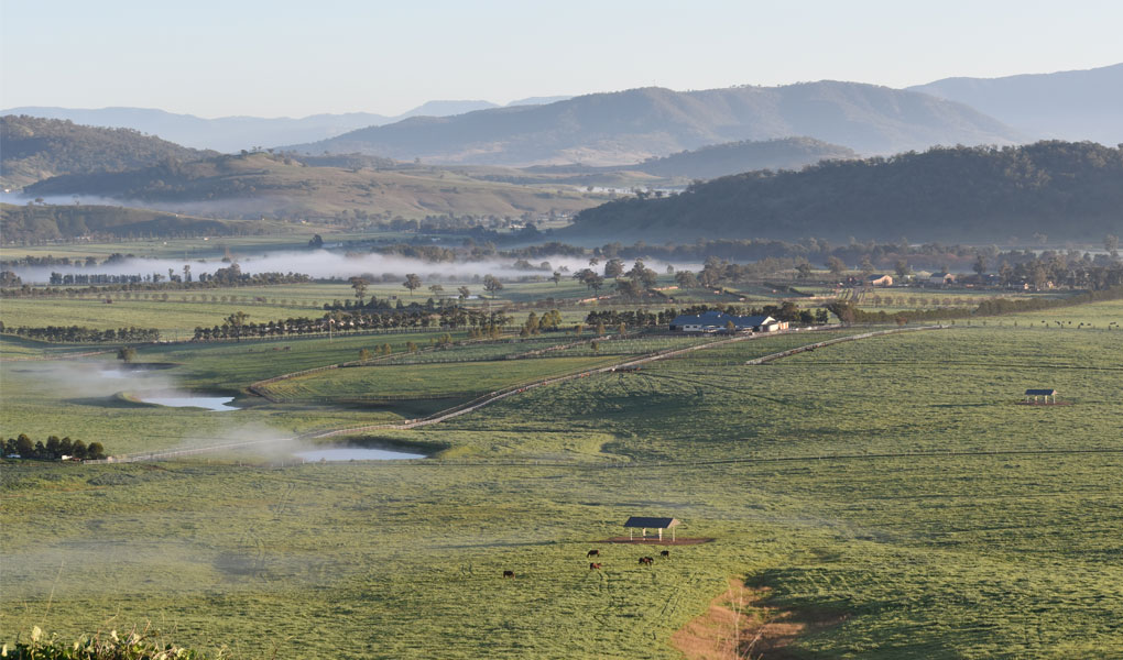 Morning mist over the paddocks and hills of Newgate Farm