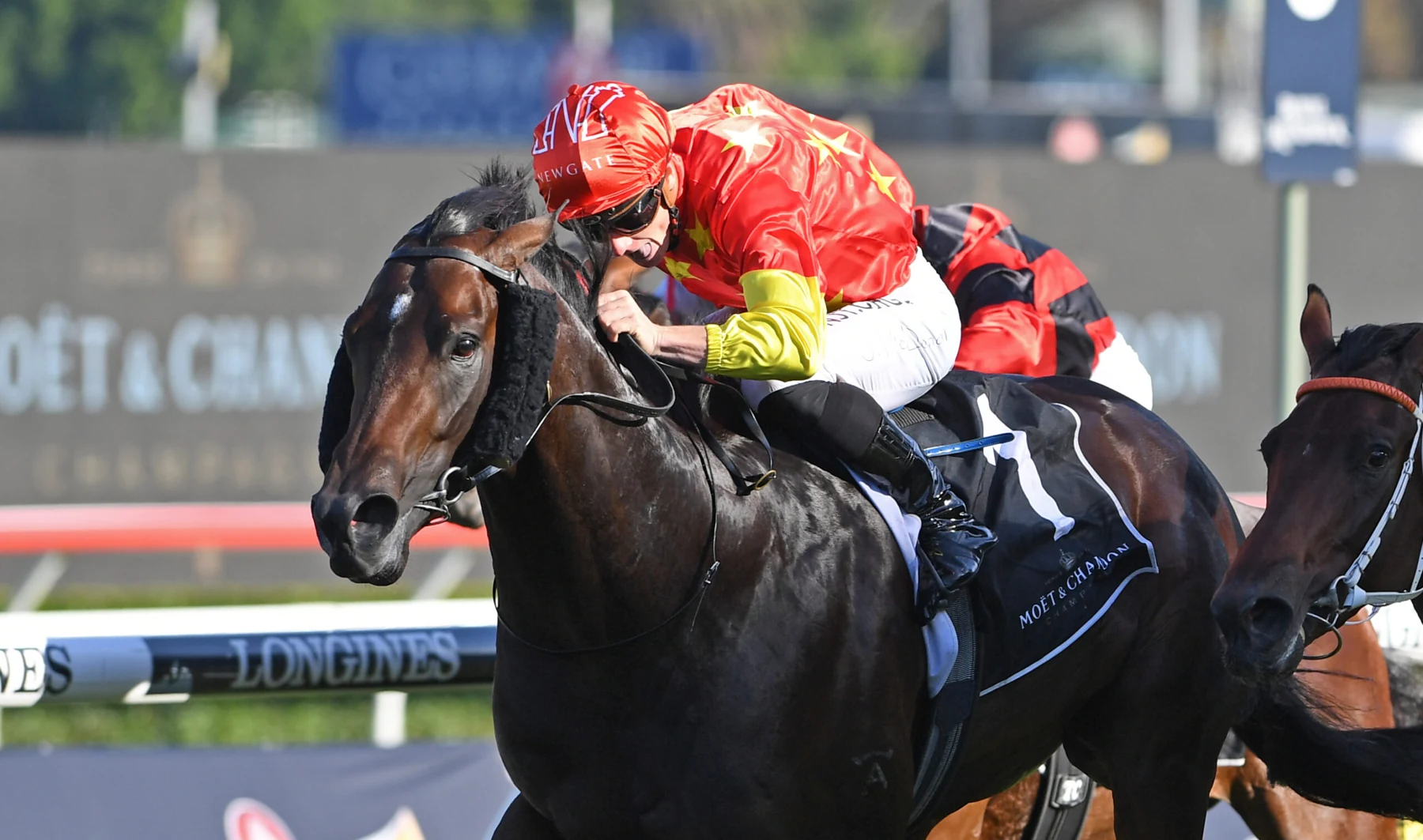 Captivant, Capitalist’s Group 1 Champagne Stakes-winning son