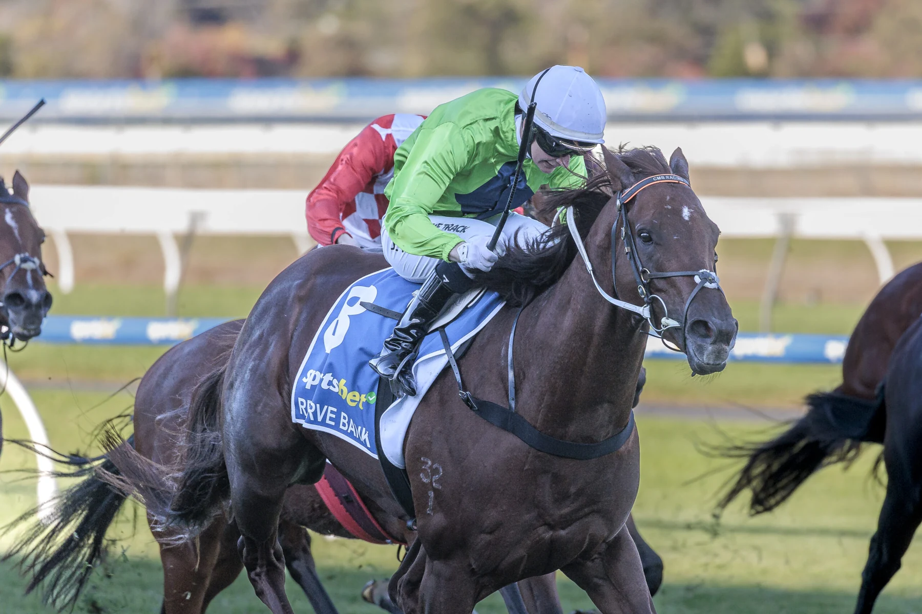Reserve Bank, a Group 1-winning son of Capitalist