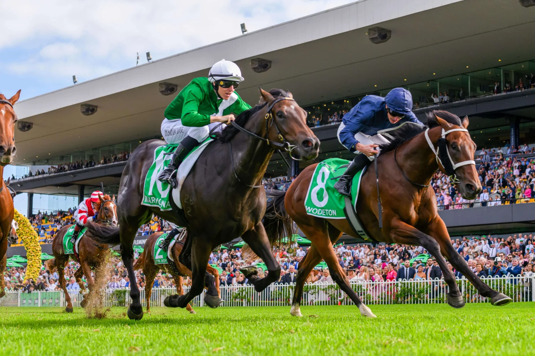 Wodeton in an official Newgate Stud Farm gallery photograph